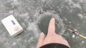 Радио сигнализатор поклёвки для зимней удочки