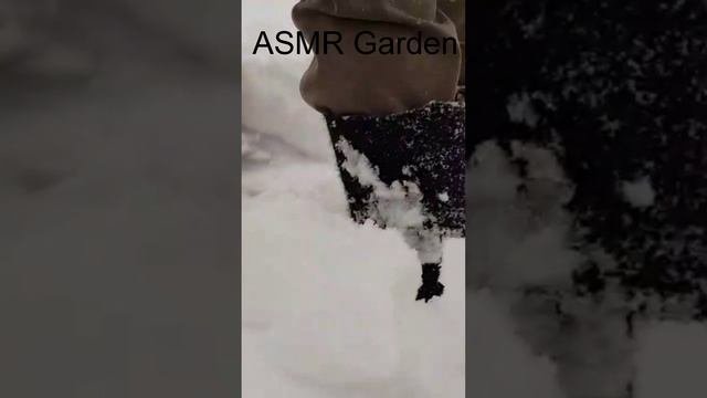 непреднамеренный асмр #Shorts