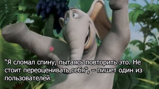 Видео со слоном-онанистом вызвало ажиотаж в Сети