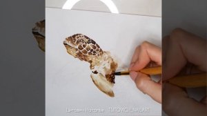 Акварель Черепаха РИСУНОК НА БУМАГЕ Акварельный рисунок WATERCOLOR ART