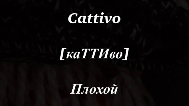 14 ПОЛЕЗНЫХ СЛОВ НА ИТАЛЬЯНСКОМ ДЛЯ НАЧИНАЮЩИХ| mini #25 СЛОВА НА ИТАЛЬЯНСКОМ