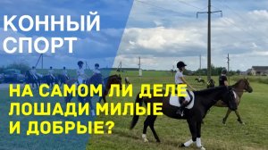 Конный спорт в Беларуси. Лошадь друг или рабочий инструмент?