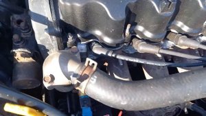 Акцент 12 кл