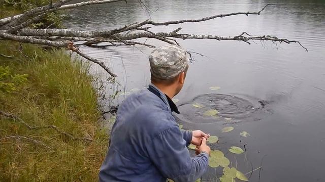 Щукарь на жерлицу летом #2 смотреть онлайн