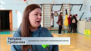 Соревнования для собак по поиску предметов по запаху прошли в Братске