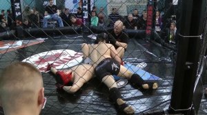 2-й турнир по любительскому ММА "Пересвет-2" г. Санкт-Петербург 22.02.15 года