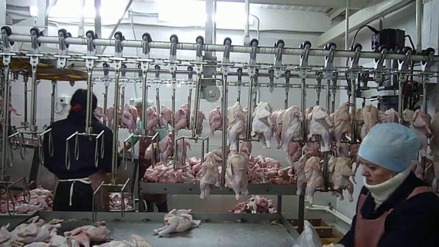 Групповая подвеска охлаждения птицы. смотреть онлайн