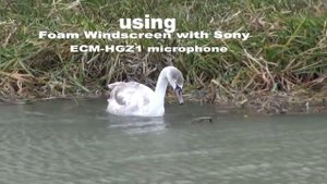 Foam Windscreen TEST for Sony ECM HGZ1 microphone