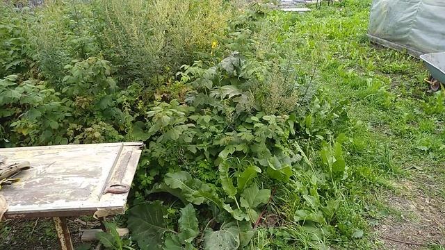 Внутренние отделки.Провели свет в бане. #внутренниеотделки, #банясвоимируками, #своимируками. смотреть онлайн