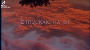 я птицу счастья свою отпускаю на юг