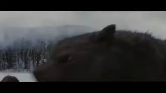 Чёрный волк - одиночество