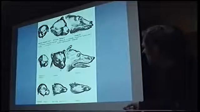 Белов А И Загадки антропологии Переломный период в развитии человеческой культуры 2007 смотреть онлайн