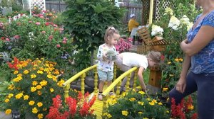 6 соток 14 августа 2024 года. Хроника.