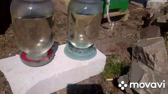 Чем заняться на карантине? смотреть онлайн