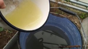 Битоксибациллин уничтожает садовых муравьев.