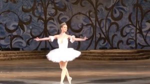 Балет спящая красавица. Елена Печенюк и Дмитрий Омельченко