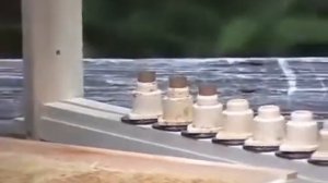 Видео инструкция  Система Никот для вывода качественных пчелиных маток