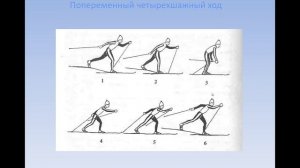 разновидность лыжных ходов