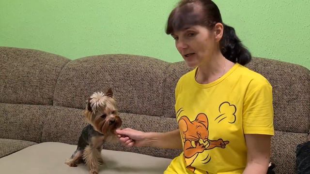 Запорожье. Обстановка на 15. 08. 2022 смотреть онлайн