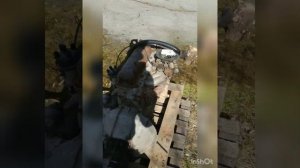 пересадка двигателя УАЗ на газели
