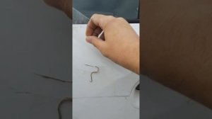 как удалить клей с машины после наклеек