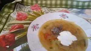 Щи из свежей капусты на мясном бульоне.