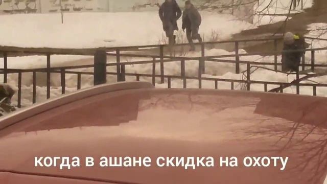 3 дня из жизни зоопарка.mp4 смотреть онлайн