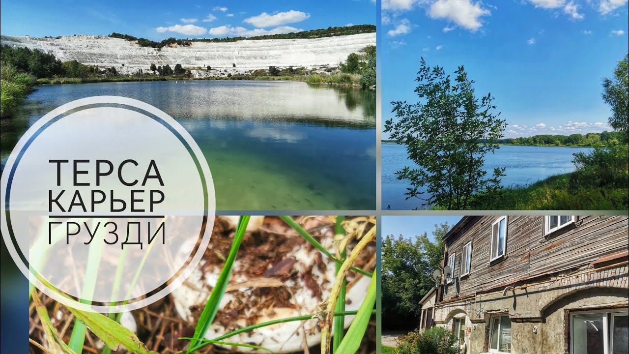 Серия 5. В отпуск с котом