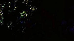 12 подвигов Астерикса (1976)