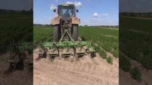 Отечественный культиватор - гребнеобразователь обрабатывает почвы в Московской области видео.mp4