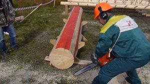 Лучший вальщик леса 2014 Комбинированная раскряжевка