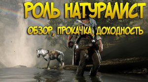 Обзор роли натуралист в Red Dead Online | Доход, прокачка, тонкости РДР2 онлайн