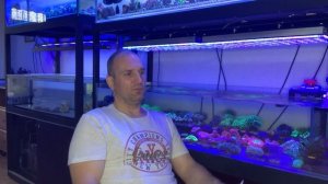 «Рифовый Аквариум» Подведение Итогов. Часть 25