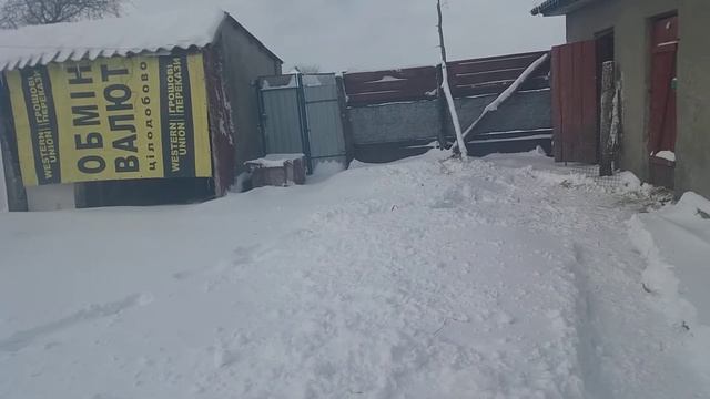 Сложности в деревне. Нутрии, куры смотреть онлайн