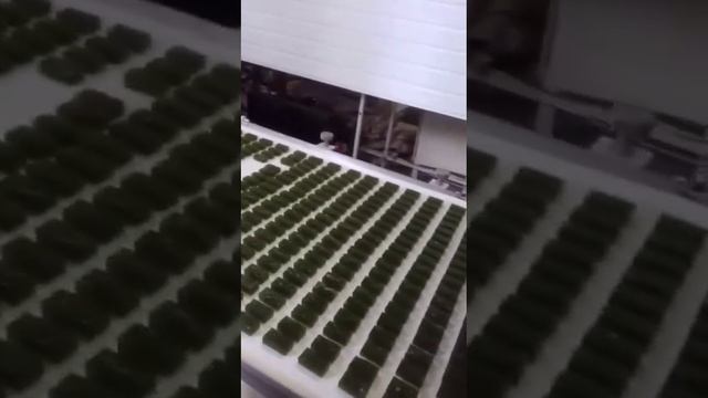Линия формирования мармеладных конфет смотреть онлайн