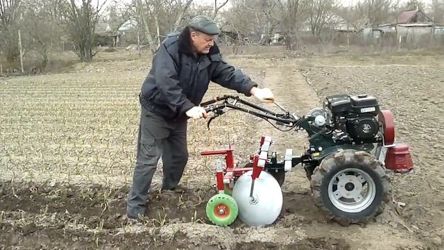 ОКУЧИВАНИЕ ЧЕСНОКА 2021