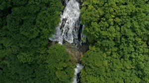 Музыка для исцеления всех болей тела, души и духа • Успокаивающая ум, расслабляющая музыка