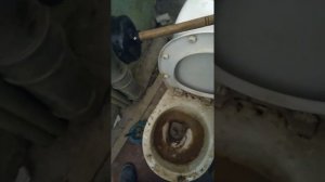 Забился унитаз, как прочистить самому