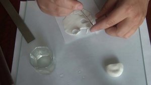 Мастер-класс: белая эустома из полимерной глины FIMO/polymer clay tutorial