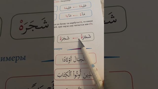 8 урок по рецитации Корана 2 части. Виды удлинения. смотреть онлайн