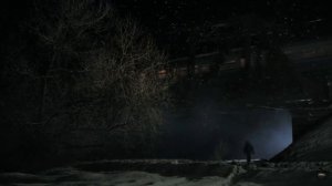 Дача Чоколова - "дом с лилиями"