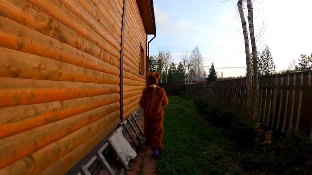 АЛАБАЙ и МЕДВЕДЬ||Реакция АЛАБАЯ на МЕДВЕДЯ||Переоделась в МЕДВЕДЯ||Встреча с МЕДВЕДЕМ||Пранк|| смотреть онлайн