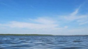Днепро - Брагинское  водохранилище. Видеоэкскурсия.Путешествие.Беларусь.reservoir#nature