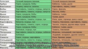 Лечение печени синим и красным луком