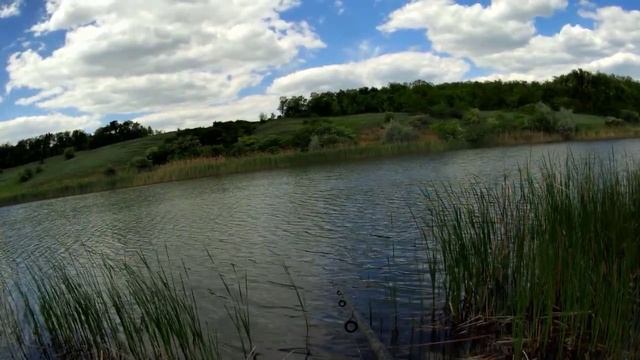 Рыбалка на сало плотва густера смотреть онлайн