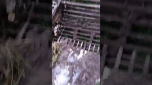 Ремонт(замена) звёздочек КТН-2В.
