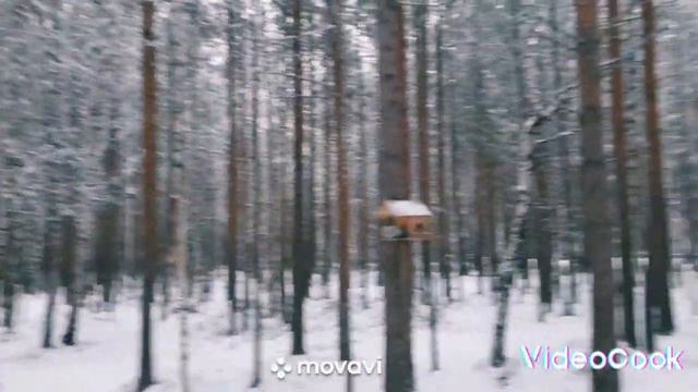 10.11.22 Прогулка по парку,сказка в лесу. смотреть онлайн