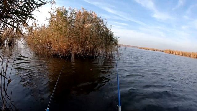 РЫБАЛКА НА ПОПЛАВОК | Красноперка на поплавок | Ловля красноперки на поплавок