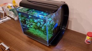 Tetra Silhouette LED 12л