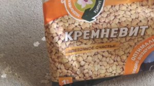 Грунт для суккулентов. Разрыхлители. Правильный  наполнитель для кошачьих туалетов.